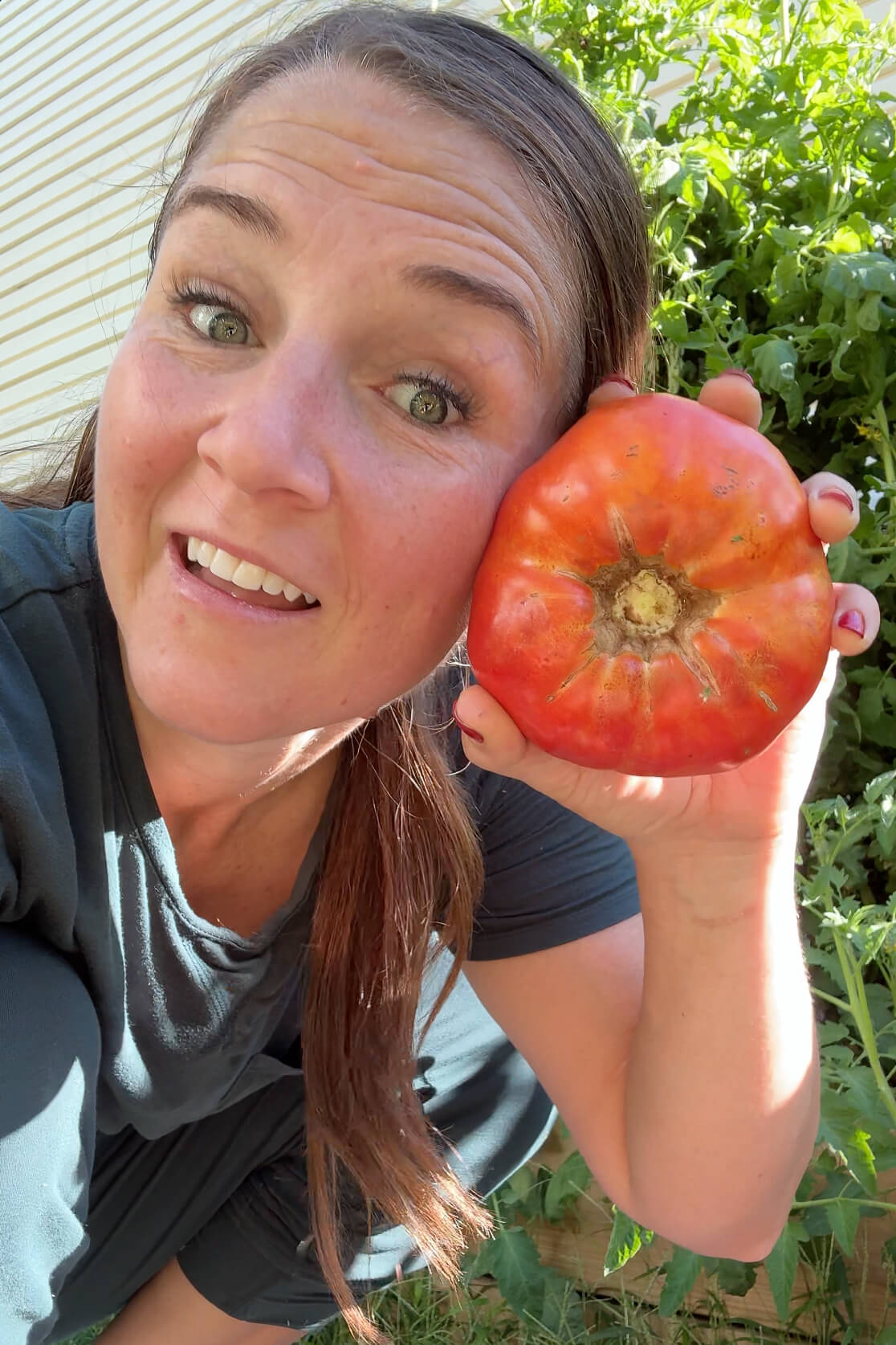 Tomatoes the size of my face.